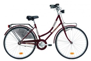 Atala college bicicletta olanda city bike